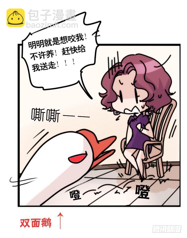 家有鹅霸：信霸霸，得&hellip;&hellip;-第57话