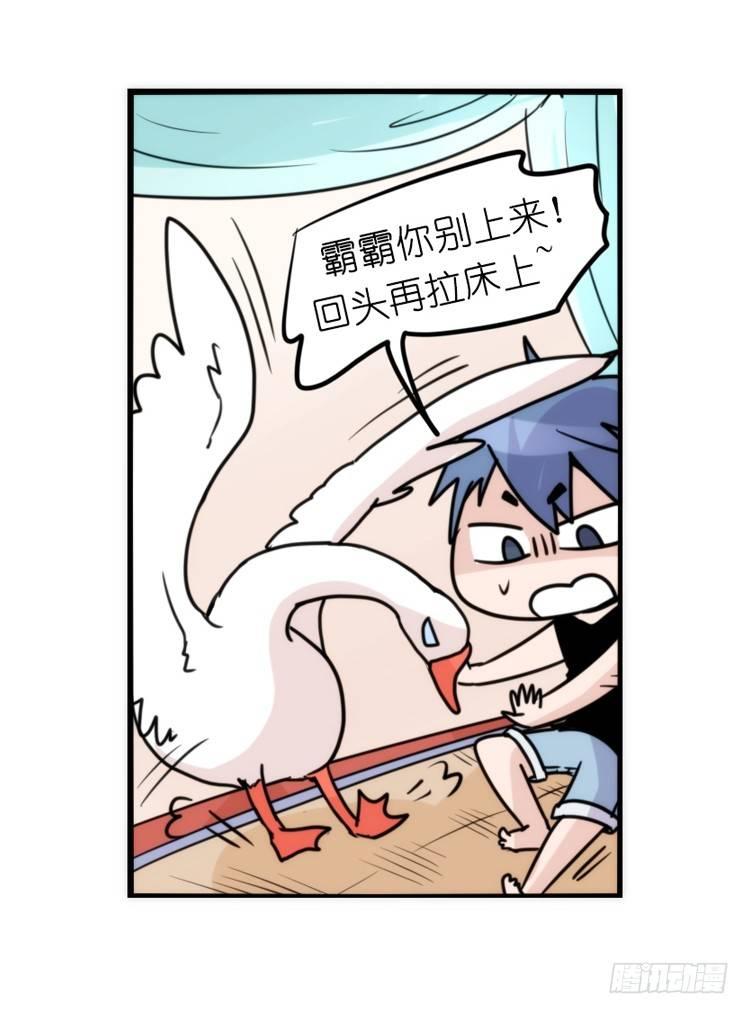 家有鹅霸：信霸霸，得&hellip;&hellip;-第57话