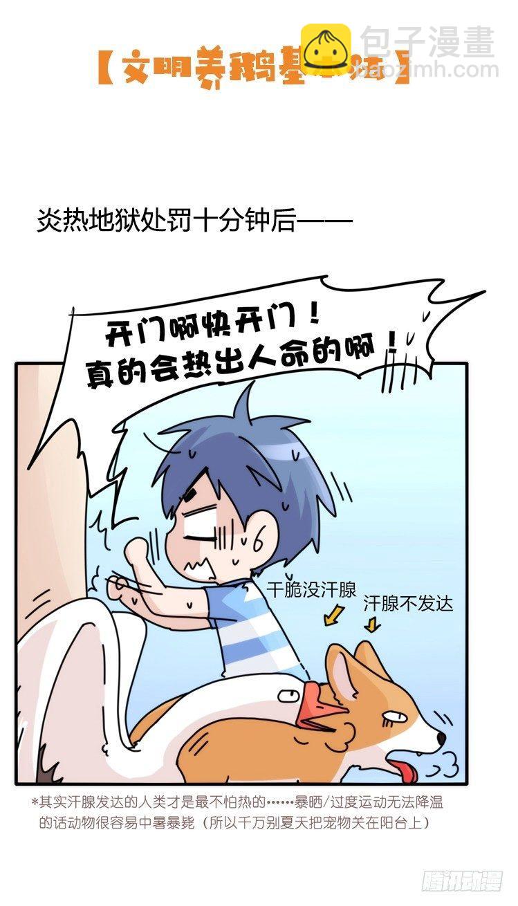 家有鹅霸：文明养鹅基本法-第59话