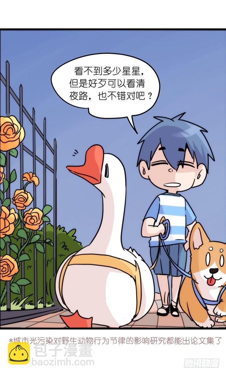 家有鹅霸：文明养鹅基本法-第59话