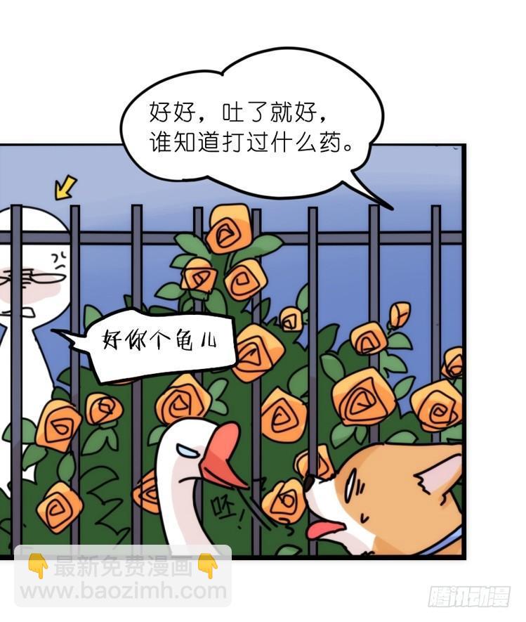 家有鹅霸：文明养鹅基本法-第59话