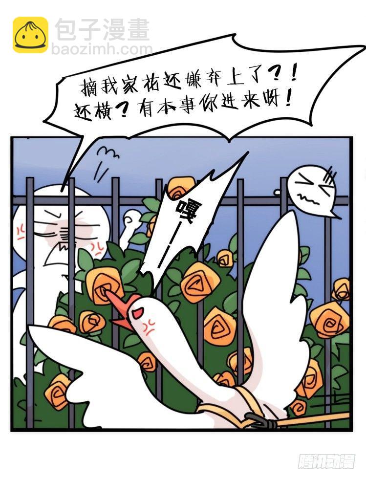 家有鹅霸：文明养鹅基本法-第59话