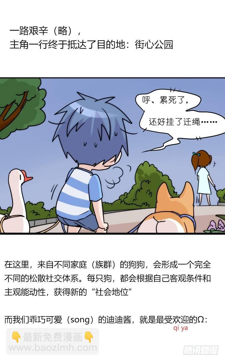 家有鹅霸：文明养鹅基本法-第59话