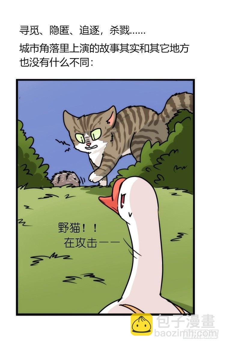 家有鹅霸：文明养鹅基本法-第59话