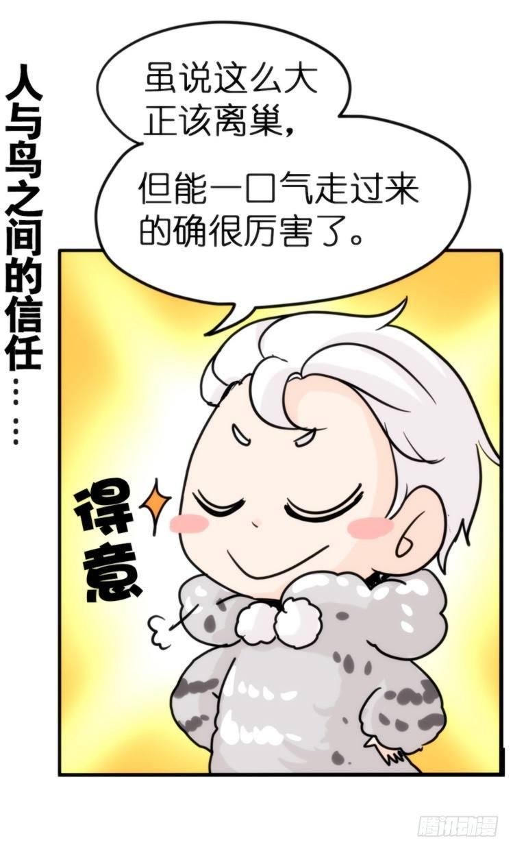 飞吧小少爷：长大成鸟之后&hellip;-第7话