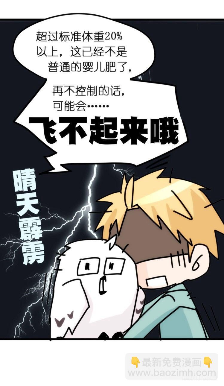 飞吧小少爷：长大成鸟之后&hellip;-第7话