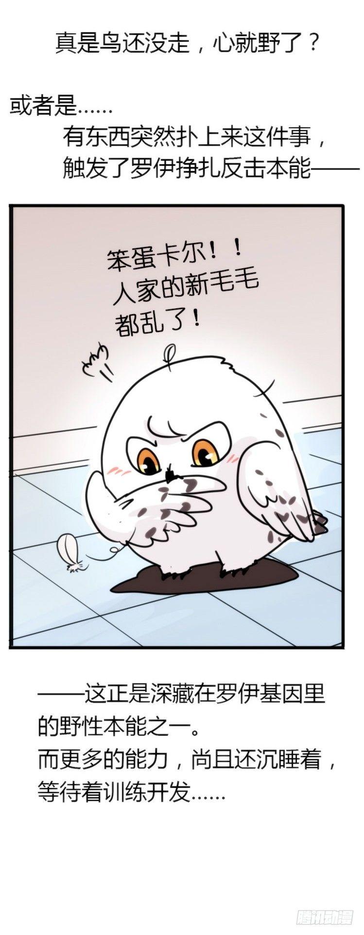 飞吧小少爷：长大成鸟之后&hellip;-第7话