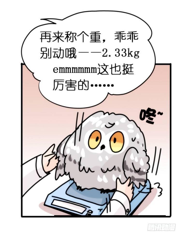 飞吧小少爷：长大成鸟之后&hellip;-第7话