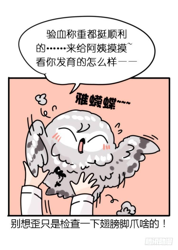 飞吧小少爷：长大成鸟之后&hellip;-第7话
