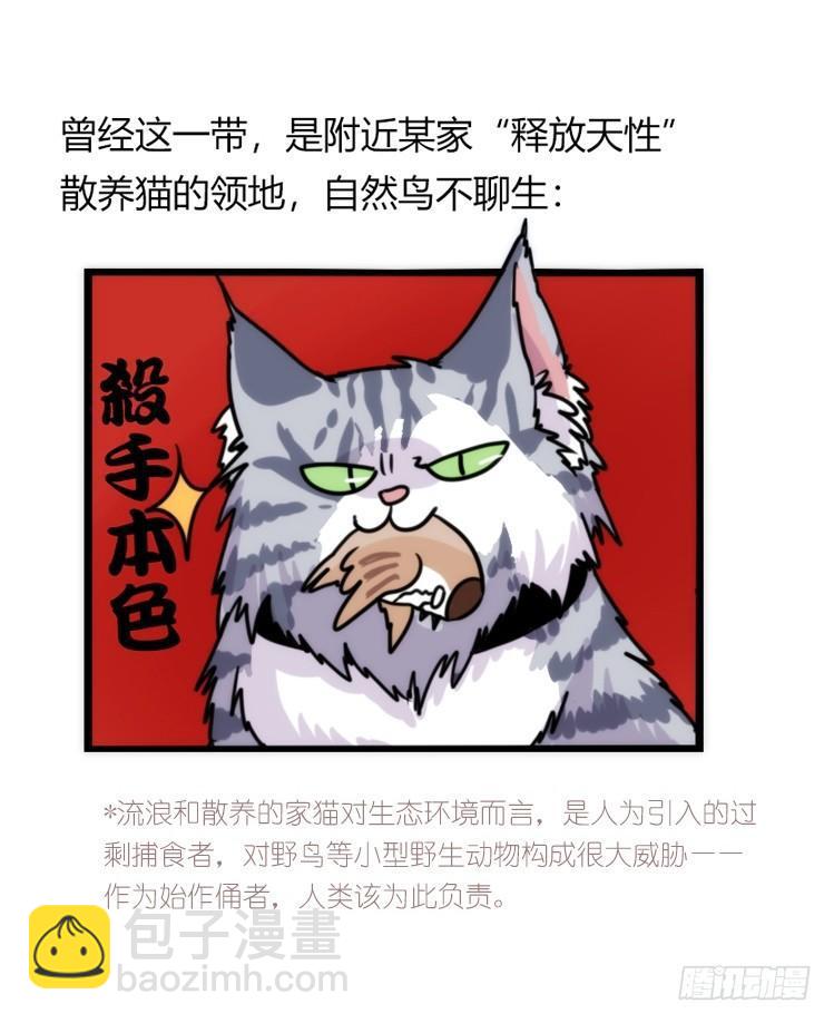 家有鹅霸：带着大鹅上学去~-第61话