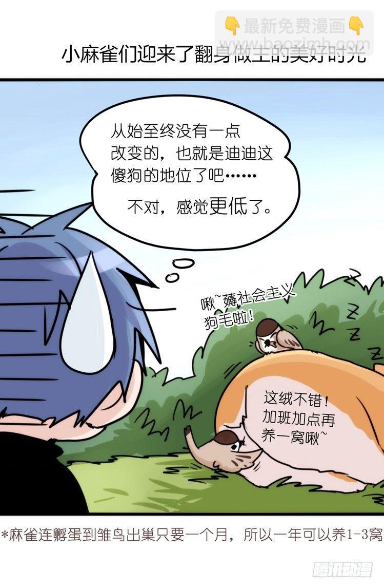 家有鹅霸：带着大鹅上学去~-第61话