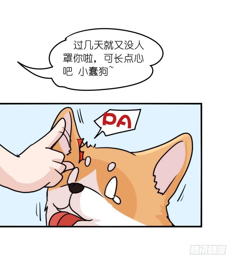 家有鹅霸：带着大鹅上学去~-第61话
