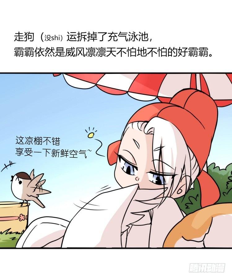 家有鹅霸：带着大鹅上学去~-第61话