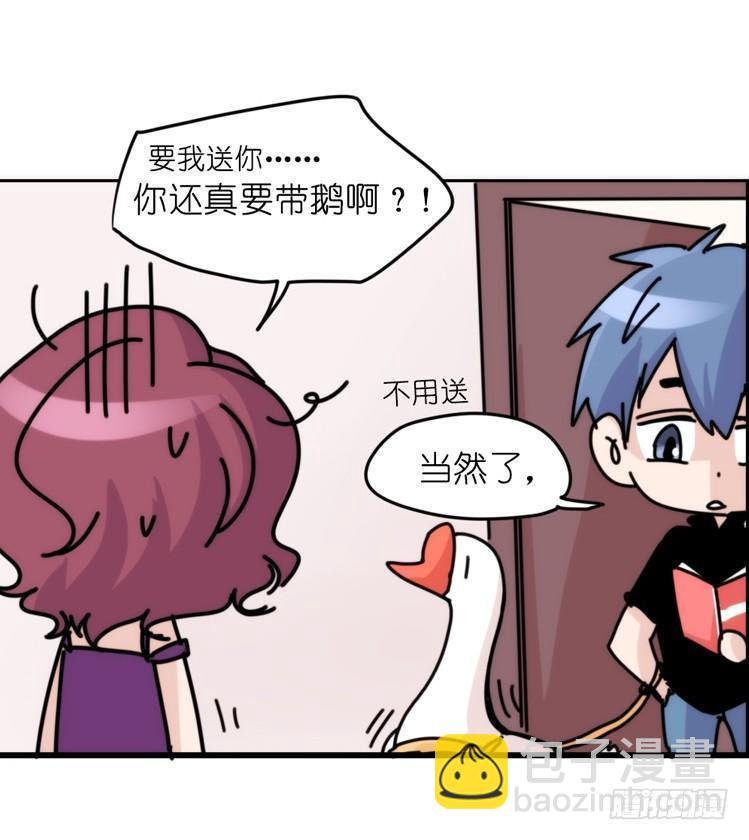 家有鹅霸：带着大鹅上学去~-第61话