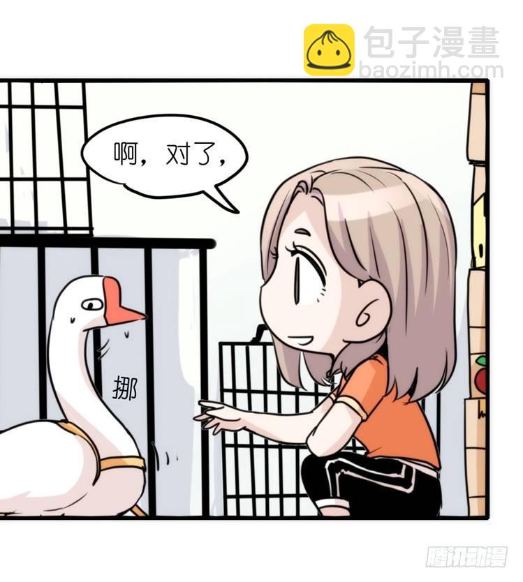 家有鹅霸：真霸霸，先包个塘-第65话
