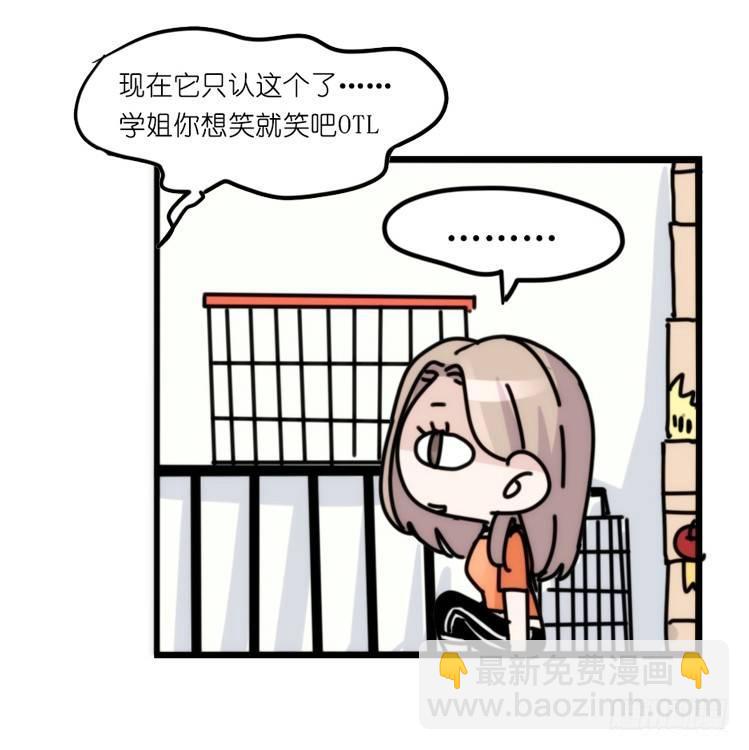 家有鹅霸：真霸霸，先包个塘-第65话