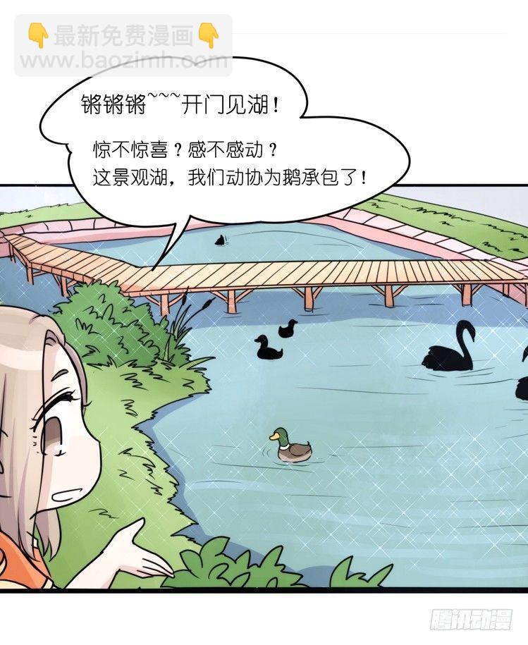 家有鹅霸：真霸霸，先包个塘-第65话