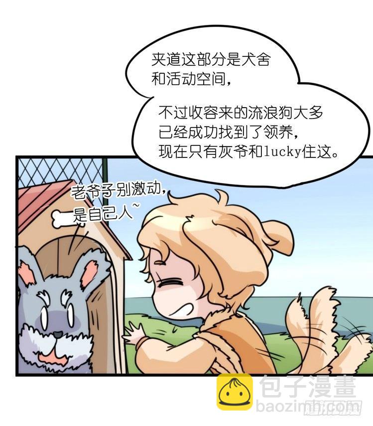 家有鹅霸：真霸霸，先包个塘-第65话