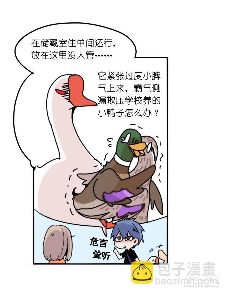 家有鹅霸：真霸霸，先包个塘-第65话