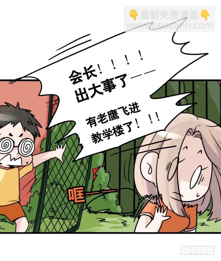 家有鹅霸：黑恶势力来袭？！-第67话