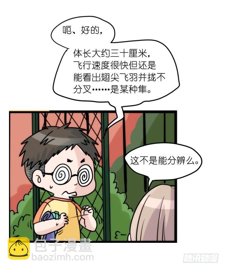 家有鹅霸：黑恶势力来袭？！-第67话