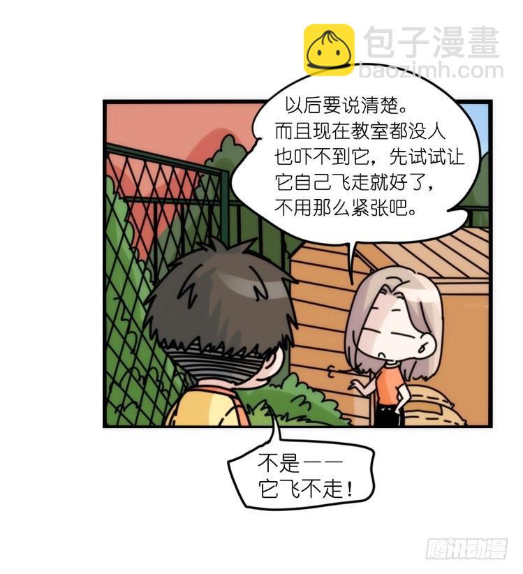 家有鹅霸：黑恶势力来袭？！-第67话