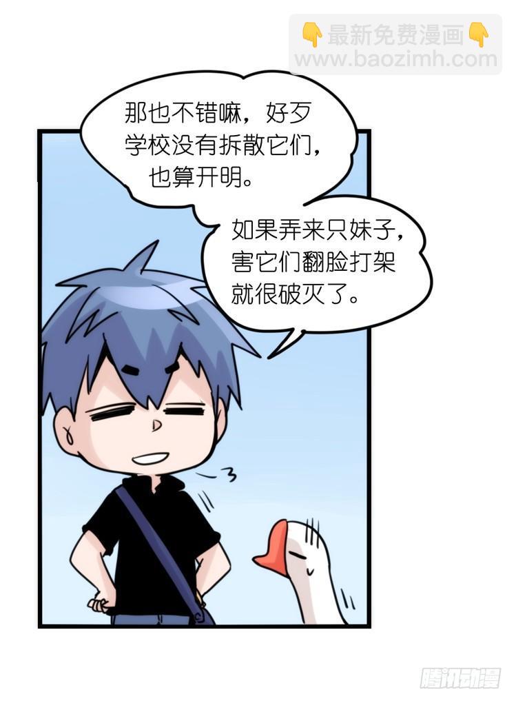 家有鹅霸：黑恶势力来袭？！-第67话