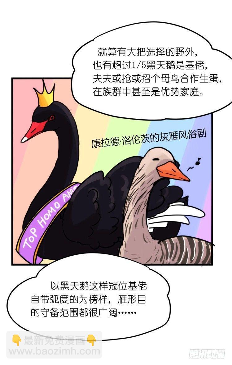家有鹅霸：黑恶势力来袭？！-第67话