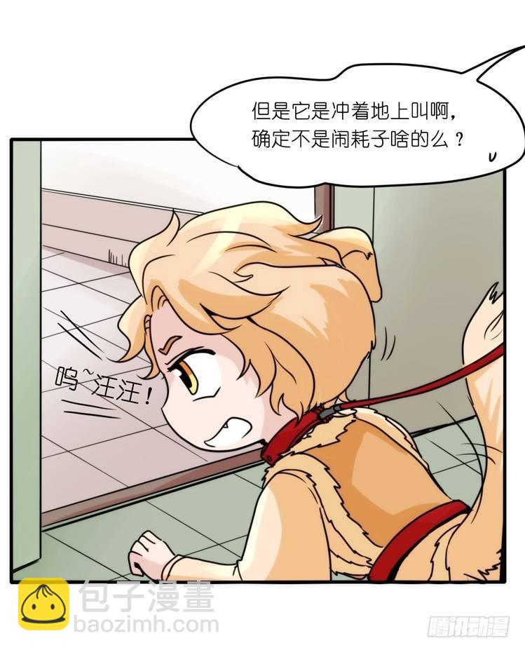 家有鹅霸：拯救大兵红隼-第69话