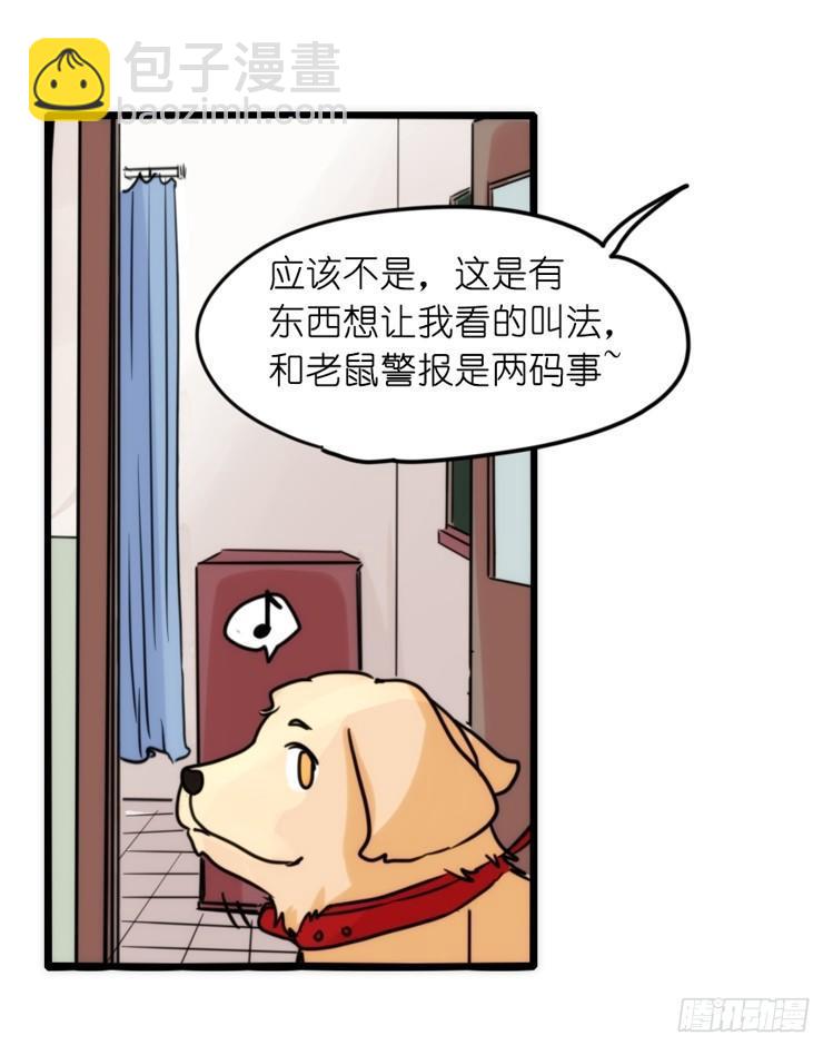 家有鹅霸：拯救大兵红隼-第69话