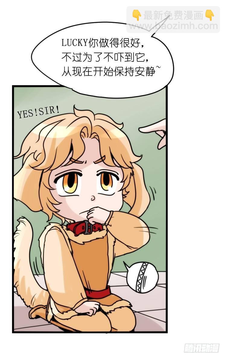 家有鹅霸：拯救大兵红隼-第69话