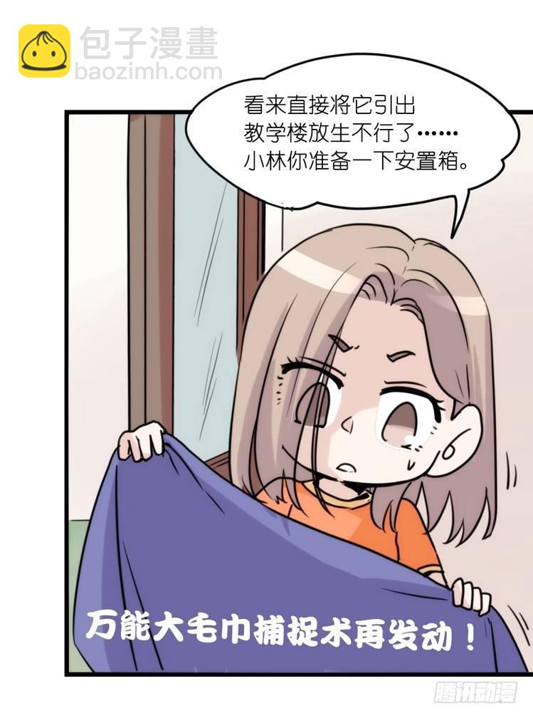 家有鹅霸：拯救大兵红隼-第69话