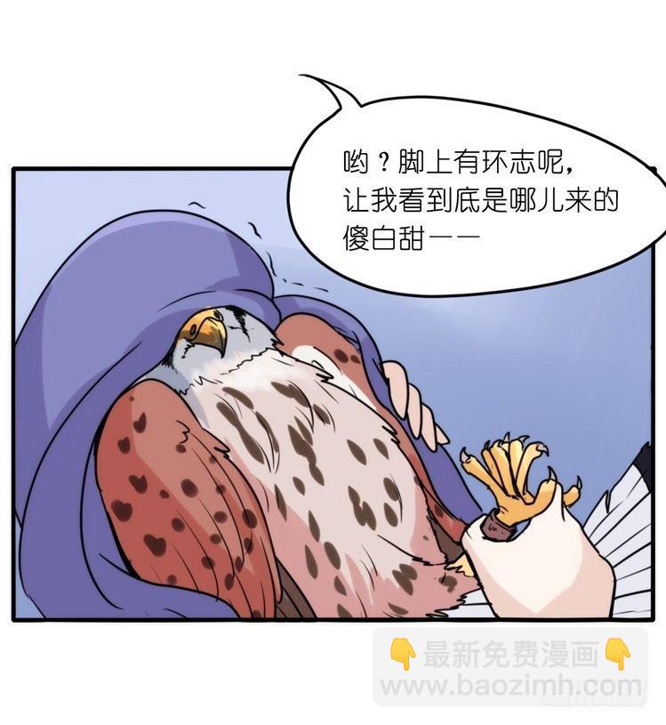 家有鹅霸：拯救大兵红隼-第69话