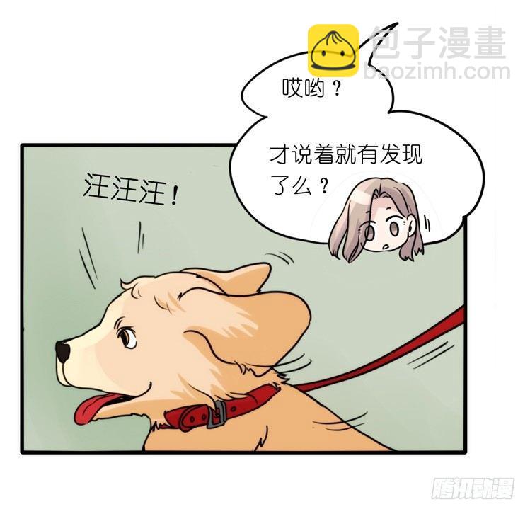 家有鹅霸：拯救大兵红隼-第69话