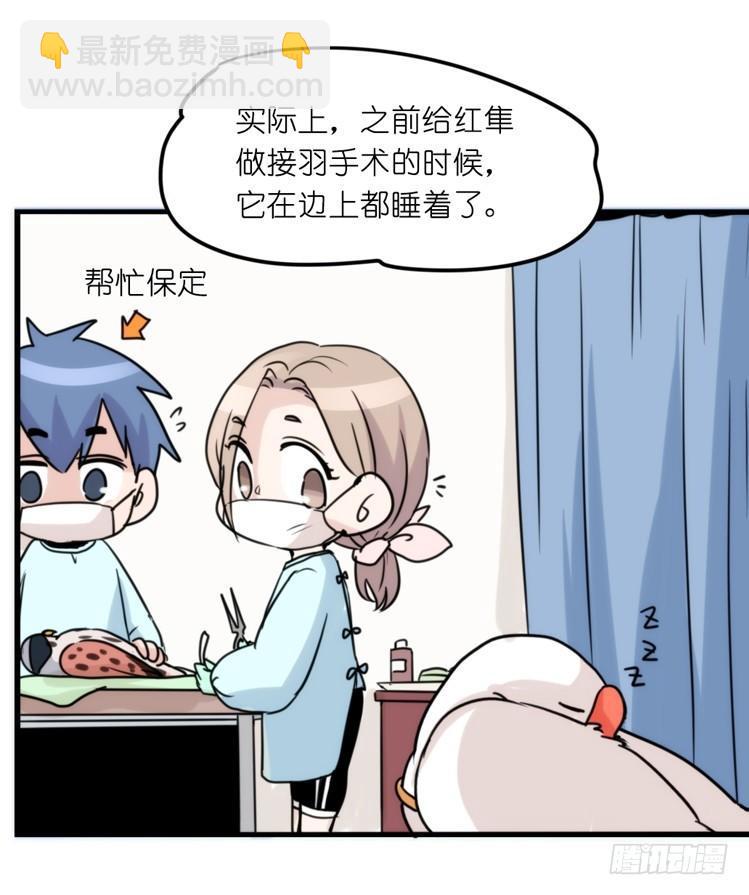 家有鹅霸：魔高一尺道高一丈-第71话