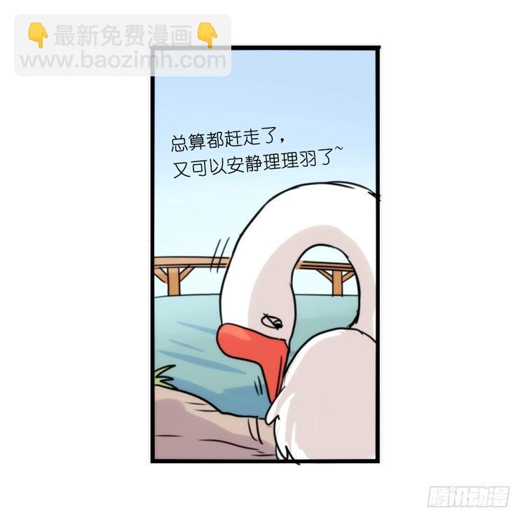 家有鹅霸：就这样被你征服~-第73话
