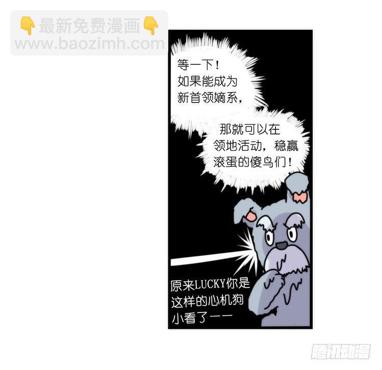 家有鹅霸：就这样被你征服~-第73话