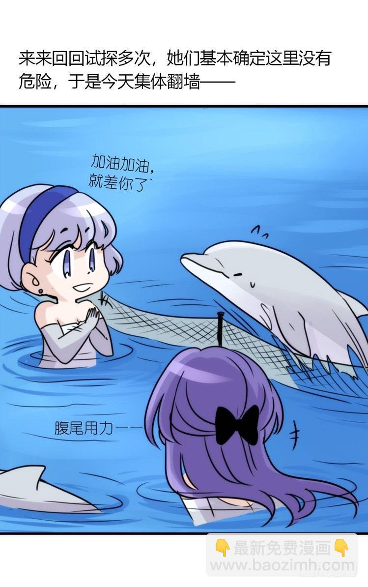 海中精灵：海豚直播间-第79话