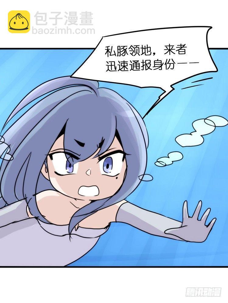 海中精灵：海豚直播间-第79话