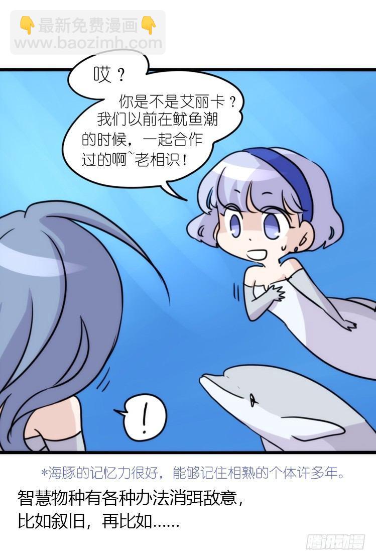 海中精灵：海豚直播间-第79话