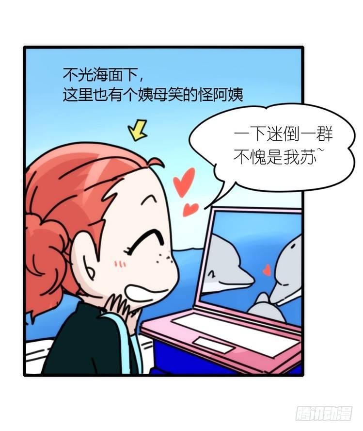 海中精灵：海豚直播间-第79话