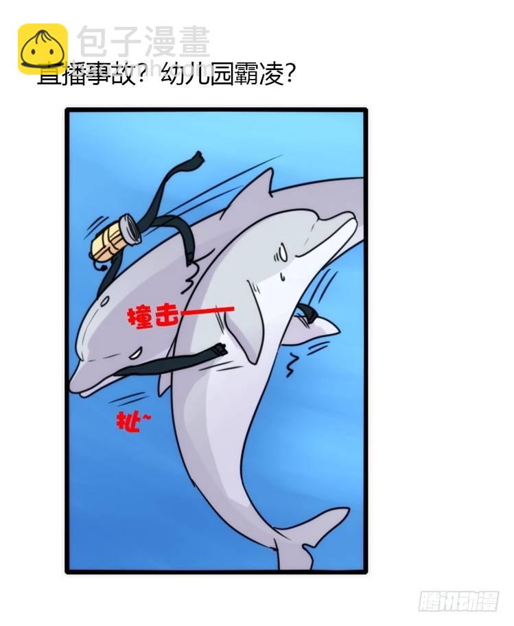 海中精灵：海豚直播间-第79话