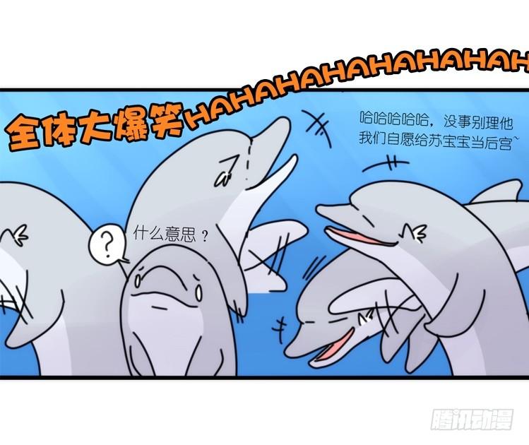 海中精灵：海豚直播间-第79话