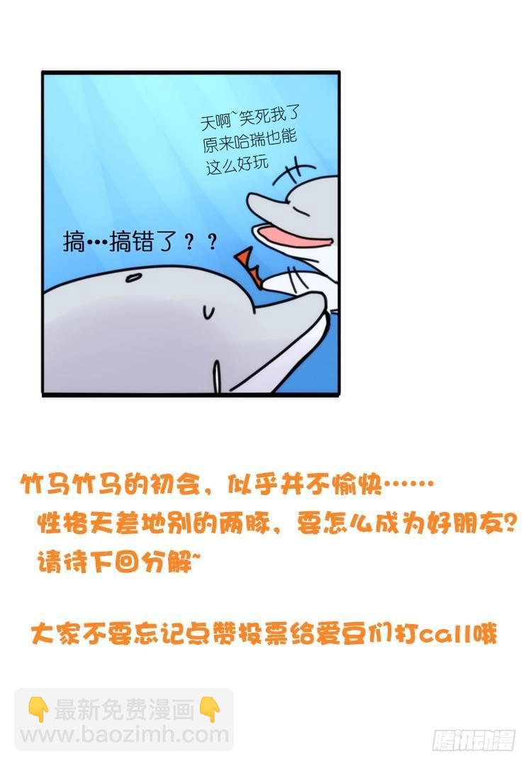 海中精灵：海豚直播间-第79话