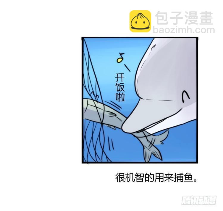 海中精灵：海豚直播间-第79话