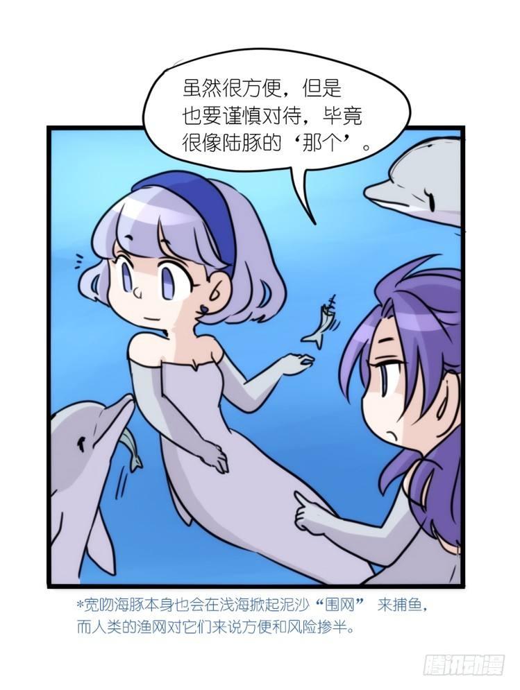 海中精灵：海豚直播间-第79话