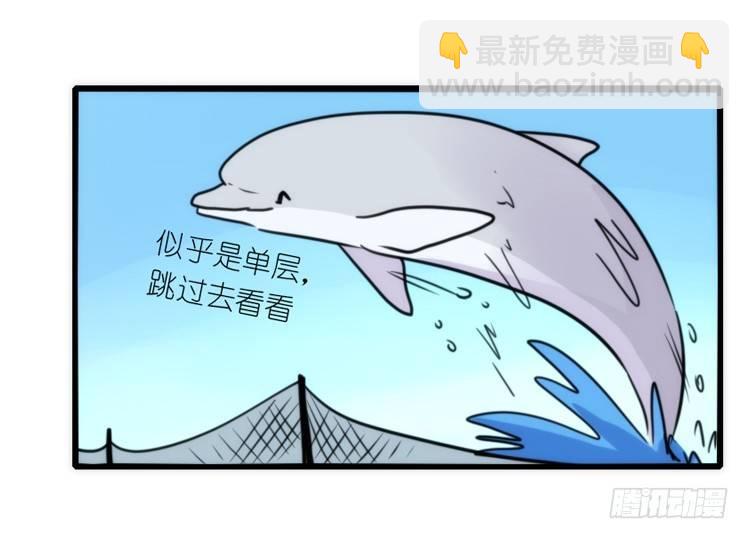 海中精灵：海豚直播间-第79话