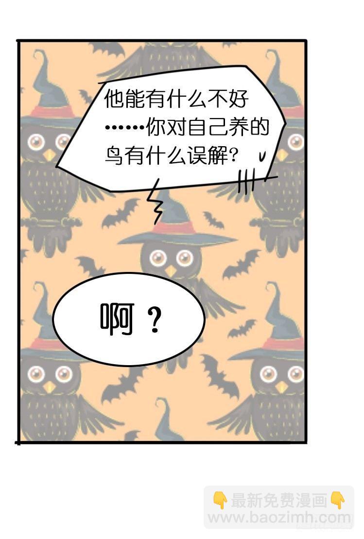飞吧小少爷：上学去（下）-第9话