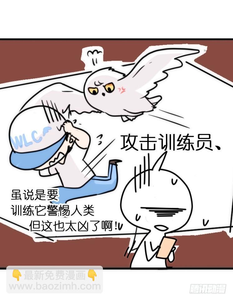飞吧小少爷：上学去（下）-第9话