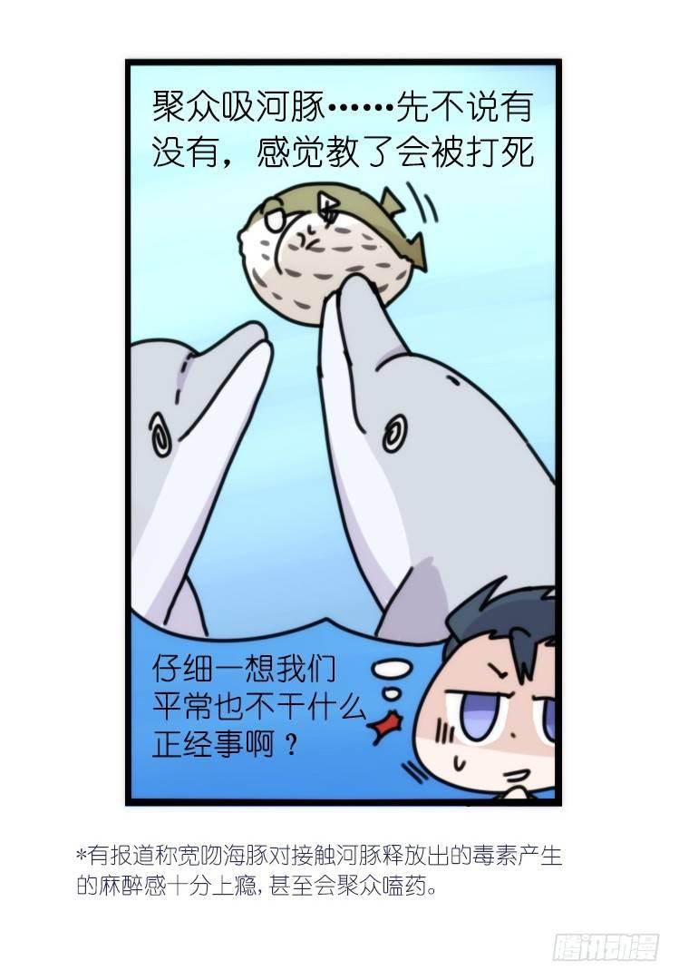 海洋精灵：豚会玩-第81话